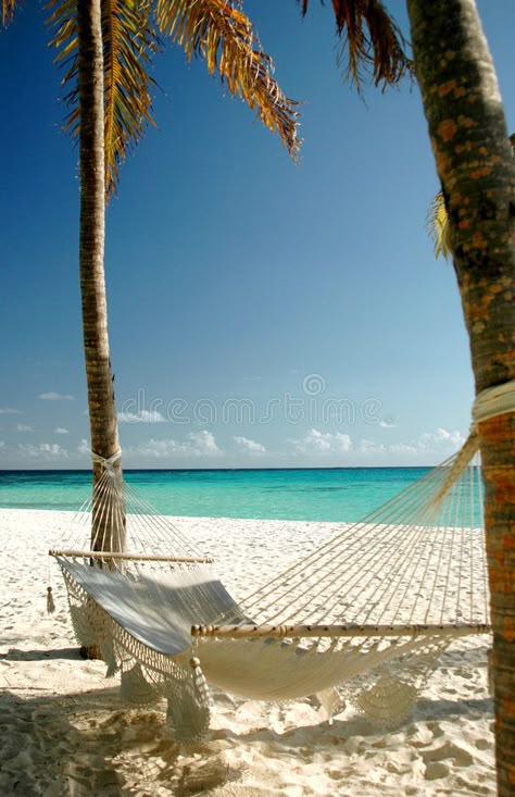 Tropical Paradise Beach, Beautiful Beaches Paradise, Beach Hammock, Paradise Beach, Hotel Booking, Hidden Beach, Travel Places, Beach Paradise, Island Resort