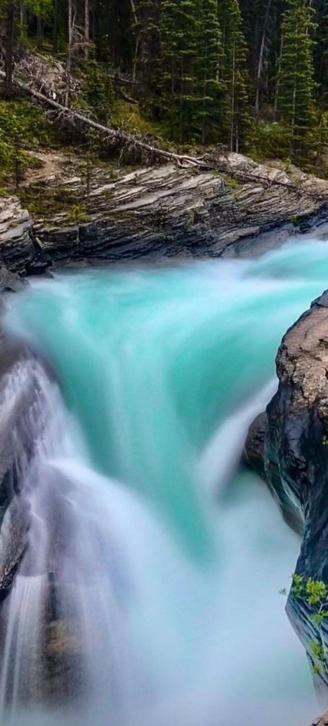 Mistaya Canyon, Banff National Park, Canada Mistaya Canyon, Banff National Park Canada, Banff National Park, National Park, National Parks