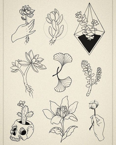 Plant Tattoo Flash Sheet, Plant Flash Tattoo, Nature Flash Sheet, Nature Flash Tattoo, Geometric Tattoo Flash, Flash Sheet Tattoo, Plants Tattoo, Oregon Tattoo, Art Plants