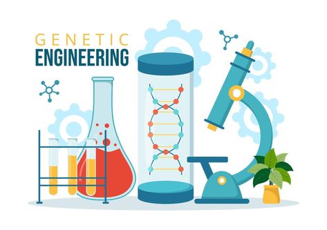 Genetic Engineering Poster, Genetics Project, File Decoration, File Decoration Ideas, Genetically Modified Food, Medical Photos, Genetic Engineering, Genetically Modified, Biotechnology