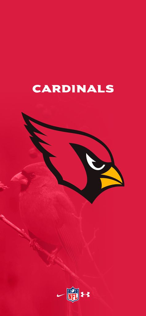 Arizona Cardinals Wallpaper, Cardinals Wallpaper, Cardinals Nfl, Football Nfl, Arizona Cardinals, Indianapolis Colts, Cardinals, Sports Team, Arizona