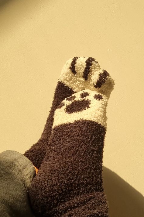 Puppy Boy Aesthetic, Cat Paw Socks, Puppy Space, Paw Shoes, Paw Socks, Paws Socks, Cat Socks, Crochet Fashion Patterns, Silly Dogs