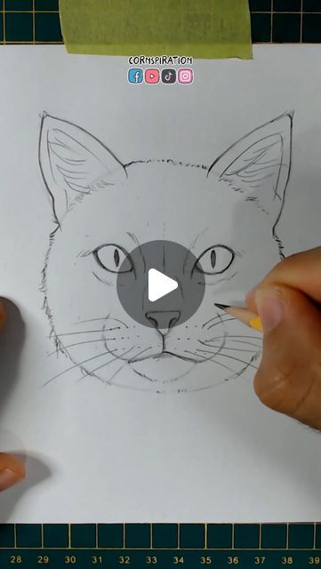 Calico Cat Drawing Simple, Curled Up Cat Illustration, How To Draw A Black Cat, Cat Tutorial Drawing, Black Cat Drawing Simple, How To Draw A Cat, Cat Face Sketch, Simple Animal Drawings, Simple Cat Drawing