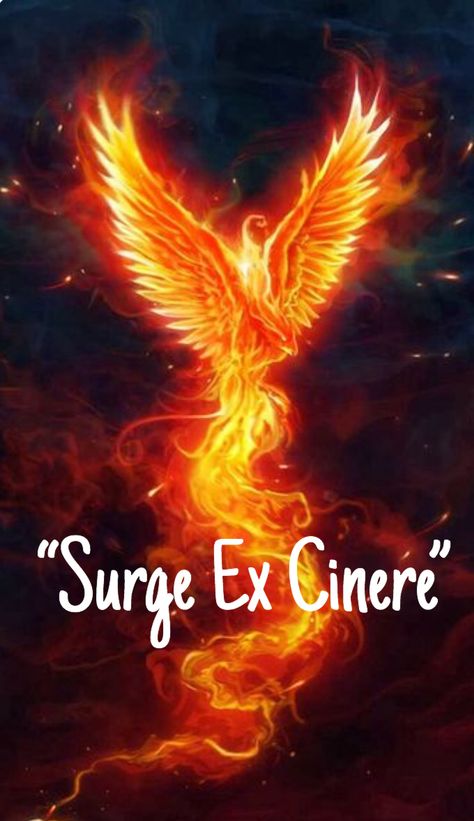 Latin for “ Rise from the Ashes” Like A Phoenix She Will Rise, I Will Rise Quotes Strength, Rise Like A Phoenix Quotes Strength, Rise Of The Phoenix Quotes, Fenix Quote, Phoenix Rising Quotes, Phoenix Quotes Rising, Phoenix Woman Rising, I Will Rise Quotes