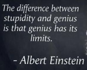 Belittle Quotes, Pithy Sayings, Workplace Quotes, Albert Einstein Quotes, Historical Quotes, Einstein Quotes, Creativity Quotes, Real Life Quotes, Quotable Quotes