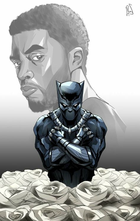 Black Panther Drawing, Black Panther Images, Black Panther Comic, Black Panther King, African Superhero, Black Panther Tattoo, Black Panther Costume, Black Panther Art, Marvel Tattoos