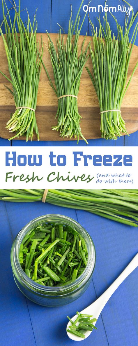 How to Freeze Fresh Chives (and how to use them) @OmNomAlly | It's incredibly easy to freeze fresh chives, so you can preserve the harvest whenever you have a glut of this flavourful herb. Freezing Fresh Herbs, Drying Fresh Herbs, Truck Garden, Plants Backyard, Freezing Fruit, Freezing Vegetables, Freezing Herbs, Preserving Herbs, Freezing Food