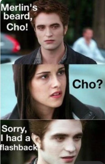 Harry Potter Vs Twilight, Twilight Harry Potter, Harry Potter Twilight, Twilight Jokes, House Quiz, Glume Harry Potter, Potter House, Twilight Funny, Twilight Memes