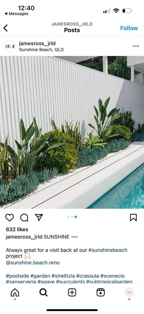 Queensland Pool Landscaping, Pool Landscaping Australian Native, Pool Landscaping Australian, Native Pool Landscaping, Australian Native Balcony Garden, Native Aussie Garden, Australian Native Garden Pool, Pool Landscaping, Garden Spaces