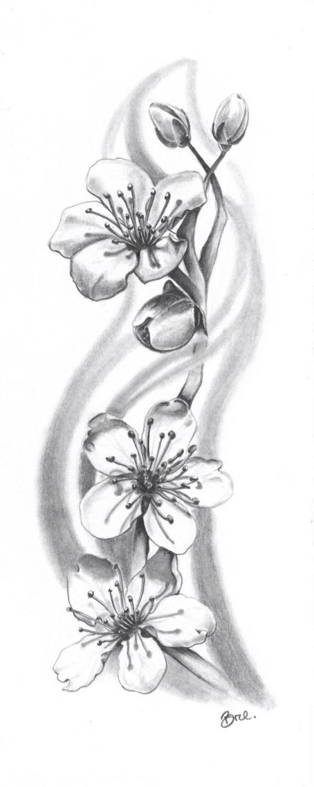 Black and gray cherry blossoms Cherry Blossom Tattoo Shoulder, Sakura Tattoo, Flower Tattoo Drawings, Tattoo Zeichnungen, Blossom Tattoo, Cherry Blossom Tattoo, White Tattoo, Flower Tattoo Designs, Trendy Tattoos