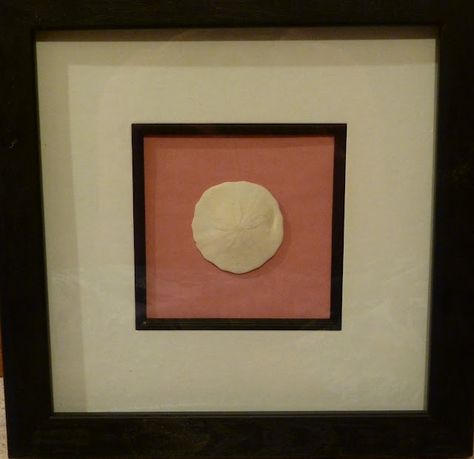 Sand Dollars, Sand Dollar, Beach House, The Beach, Frame