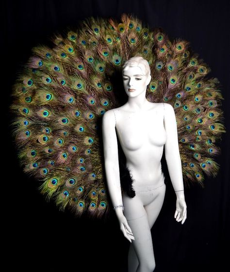 Peacock Wings Costume, Peacock Carnival Costume, Peacock Tail Costume, Peacock Outfit, Peacock Headpiece, Feather Boots, Carribean Carnival Costumes, Peacock Fashion, Peacock Feather Dress