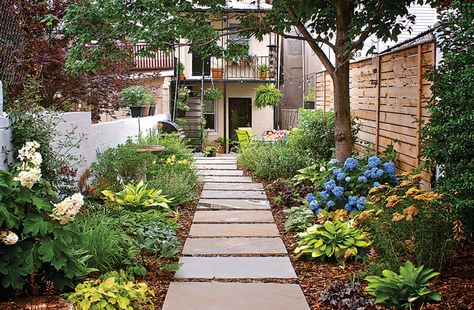 Check out this garden designed by president Ted Carter and his wife Emilie, recently featured in Baltimore Magazine! Home Backyard Ideas, Awesome Gardens, Backyard Vibes, Row Home, Plants Under Trees, Small Urban Garden, Pocket Garden, Home Backyard, Urban Heat Island