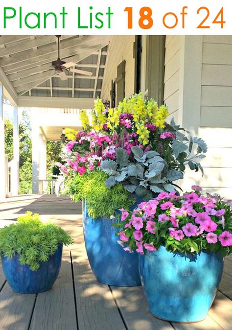 24 designer plant lists for beautiful container gardens & colorful mixed flower pots combinations: great patio planting ideas & backyard landscape designs! – A Piece of Rainbow #backyard #gardens #gardening #gardeningtips #urbangardening #gardendesign #gardenideas #containergardening #diy #summer #spring #porch #patiodesigns #patio #curbappeal Mixed Flower Pots, Patio Flower Pots, Gemüseanbau In Kübeln, Potted Plants Patio, Patio Container Gardening, Front Porch Flowers, Flower Pot Ideas, Patio Flowers, Colorful Planters