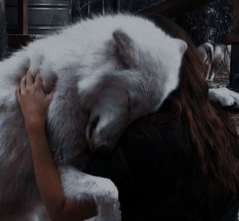 Westeros Houses, Magical Aesthetic, Lyanna Stark, Werewolf Aesthetic, Medieval Aesthetic, Queen Aesthetic, Nice Photos, Aesthetic Journal, Royalty Aesthetic