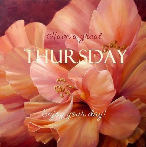 Thursday Pictures, Thursday Images, Thursday Greetings, Have A Great Thursday, Happy Thursday Quotes, Good Morning Thursday, Good Morning Tuesday, Thursday Quotes, Thankful Thursday