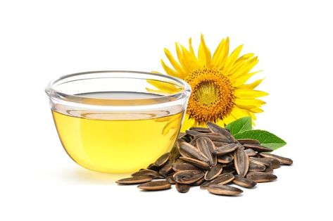 Page 2 | 70,000+ Sunflower Seed Oil Pictures Sunflower Seed Oil, Sunflower Seed, Sunflower Oil, Sunflower Seeds, Seed Oil, Sunflower, Seeds, How To Draw Hands, Stock Photos