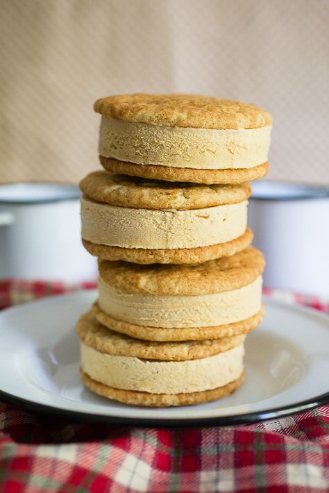 Snickerdoodle Ice Cream, Waffle Ice Cream Sandwich, Pumpkin Spice Ice Cream, Halloween Ice Cream, Ice Cream Sandwiches Recipe, Ice Cream Sandwich Cake, Pumpkin Ice Cream, Ice Cream Cookie Sandwich, Nice Recipes