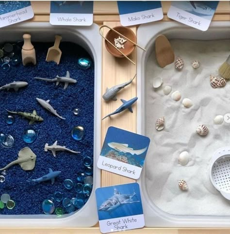 Sensory Table Activities Preschool, Sensory Bin Summer, Reggio Toddler Activities, Ikea Sensory Bin Ideas, Ocean Sensory Table, Ocean Sensory Activities, Sensory Bin Ocean, Sea Sensory Bin, Flisat Table Activities