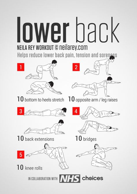 [Sponsored] Lower Back Workout.... Helps Reduce Lower Back Pain, Tension, Stiffness, Soreness <3 ;)* #Weightlossrecipes #yogastretchesforlowerbackpain Lower Back Workout, Neila Rey Workout, Ab Workout Machines, Middle Back Pain, Back Stretches For Pain, Lower Back Pain Exercises, Lower Back Pain Relief, Nerve Pain Relief, Yoga Iyengar