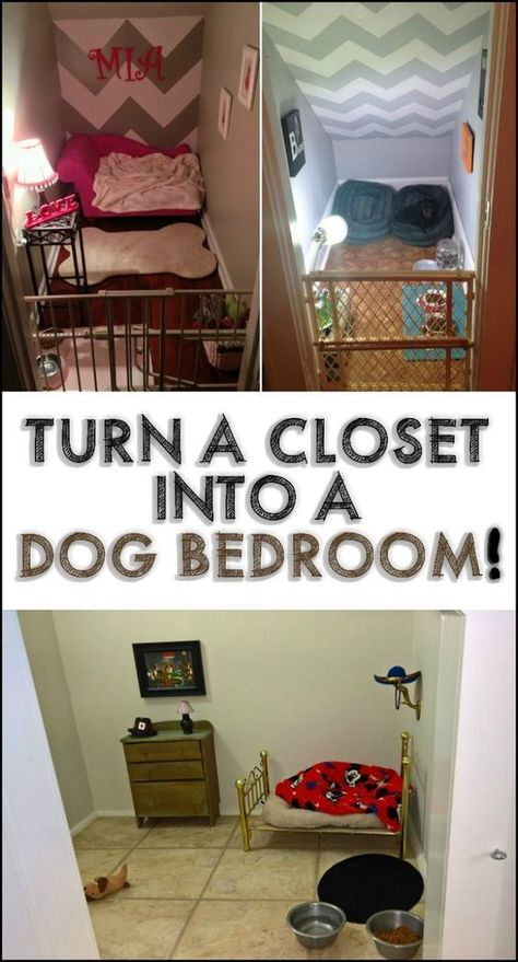 Pets are family! So if you have some space for it, then they definitely should have their own bedroom too ;) Check out some inspiration we have for you on our site... Closet For Dogs Ideas, Dog Rooms In House Small Spaces, Dog Area In Closet, Closet To Dog Room, Dog Room Closet Ideas, Closet Dog Room, Dog Room Closet, Dog Closet Room, Puppy Bedroom Ideas