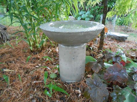 DIY Concrete Birdbath For Less Than Six Dollars! | Hometalk Diy Concrete Birdbath, Cement Bird Bath, Bird Bath Diy, Concrete Yard, Bath Diy, Concrete Creations, Concrete Bird Bath, Stepping Stones Diy, Garden Globes