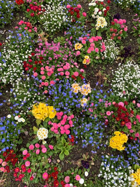 Planting Flowers Aesthetic, Aesthetic Yard, Garden Flower, Flowers Garden, Luxury Flower Bouquets, Flower Landscape, Plant Aesthetic, Flower Therapy, Rustic Gardens