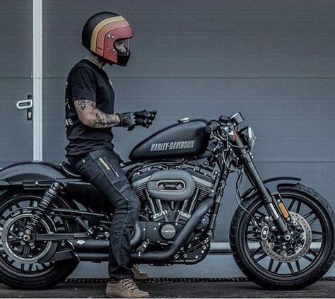 Harley Roadster, Hd 883 Iron, Hd Fatboy, Harley Davidson 883, Harley Davidson Roadster, Hd Sportster, Мотоциклы Harley Davidson, Sportster Bobber, Harley Davidson Iron 883