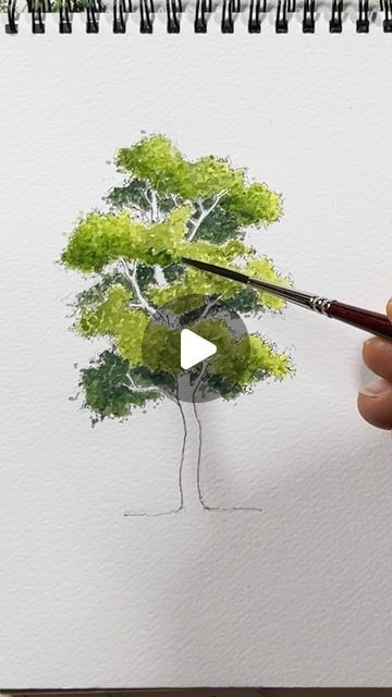 Mayad Allos on Instagram: "It’s been a while since I posted a tree reel, right? 🤣🤣 please check out my YouTube channel for the longer version or comment with “Y” for the full tutorial 🙏🙏  . #treedrawing #trees #treesketch #urbanksketchers #urbansketching #bockingford" Tree Drawing Tutorial Step By Step, Trees Drawing Tutorial, Drawing Trees, Tree Drawings, Tree Sketches, Tree Drawing, Urban Sketching, My Youtube Channel, A Tree