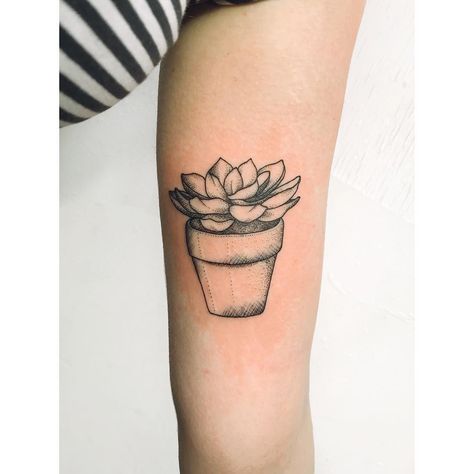 Potted succulent dot-work style tattoo on the arm Succulent Tattoo, Rose Tattoo Sleeve, Tattoo Diy, Cactus Tattoo, Summer Tattoo, Pawprint Tattoo, Disney Tattoo, Plant Tattoo, Muster Tattoos