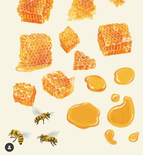 Honeycombs Drawings, Honey Bee Drawing, Honey Illustration, Honey Art, Bee Drawing, Bottle Drawing, Honey Bottles, Aesthetic Baby, Cottagecore Art