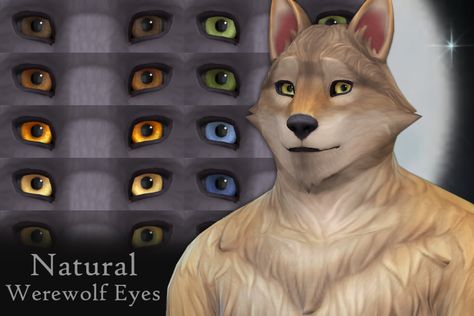 Sims 4 Werewolf Cc, Sims 4 Werewolf, Werewolf Eyes, Sims 4 Cc Eyes, Cc Folder, The Sims 4 Skin, The Sims 4 Packs, Sims 4 Mm Cc, Sims 4 Body Mods