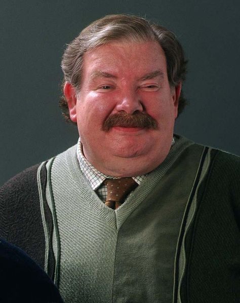 Vernon Dursley taught me:  You can't run away from your problems.  By the time they catch up they will be much bigger than when you started. Richard Griffiths, Vernon Dursley, Film Harry Potter, Imprimibles Harry Potter, Harry Potter Wiki, Michael Gambon, Robbie Coltrane, Barty Crouch Jr, Matthew Lewis