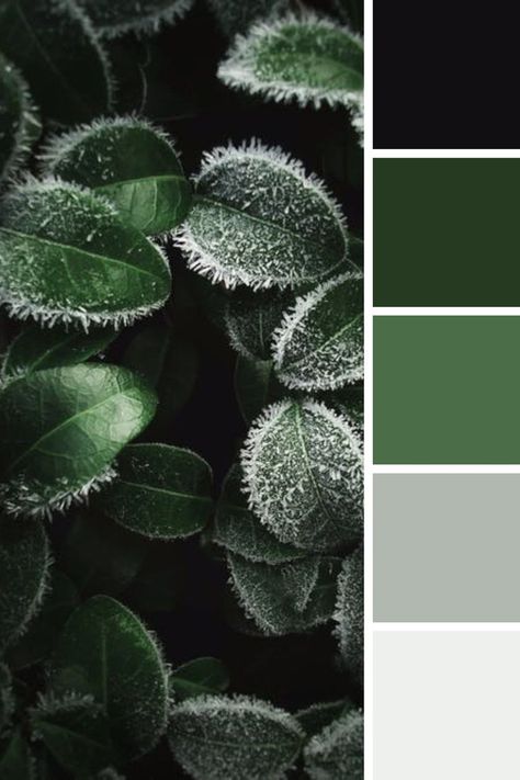 Living Room Colour Schemes, Silver Color Palette, Green Color Combinations, Pantone Palette, Black Color Palette, Green Palette, Green Color Schemes, Hex Codes, Green Colour Palette