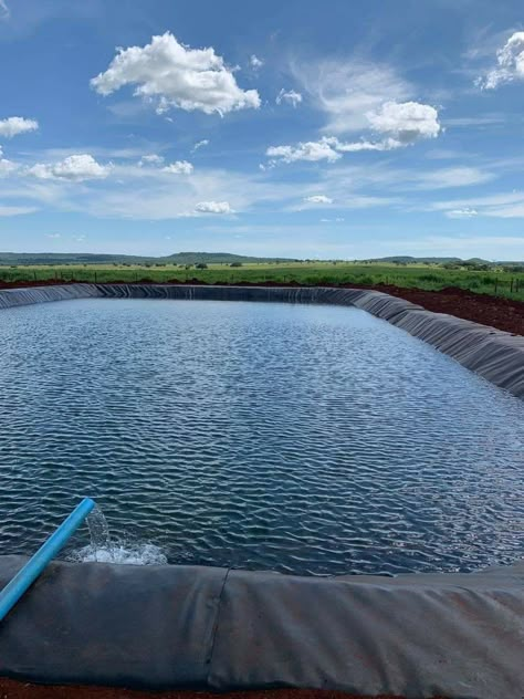 Fish Farming Ponds, Agriculture Pictures, Agriculture Photography, Agriculture Photos, Fish Pool, Farming Ideas, Backyard Chicken Coop Plans, Farm Plans, Fish Farm