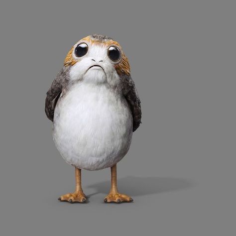 Prong Porgs Star Wars, Porg Starwars, Solgaleo Pokemon, Star Wars Sith, Star Wars Facts, Star Wars Jokes, Star Wars Wallpaper, Star Wars Party, Cute Stars