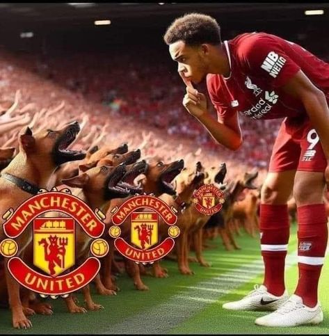 Why is Liverpool asking Manchester United fans to keep quite? Did we miss something over the weekend? Liverpool And Manchester United, Liverpool Profile Picture, Liverpool Pfp, Alexandra Arnold, Liverpool Fc Quotes, Liverpool Funny, Liverpool Football Team, Liverpool Memes, Liverpool Photos