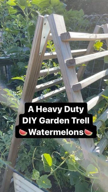 Watermelon Trellis Diy, Watermelon Trellis, Heavy Duty Trellis, Trellis Diy, Trellis Ideas, Diy Trellis, Outdoor Decorating, Lake Cabins, Tool Sheds