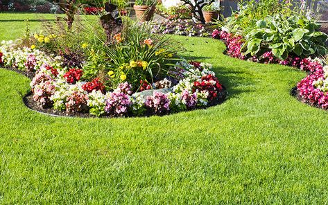 Curved-and-shaped-lawn-and-borders Perennial Garden Design, Flower Garden Images, Tree Mulch, Small Flower Gardens, Garden Pavers, Landscaping Around Trees, Garden Flowers Perennials, Small Yard Landscaping, Patio Flowers