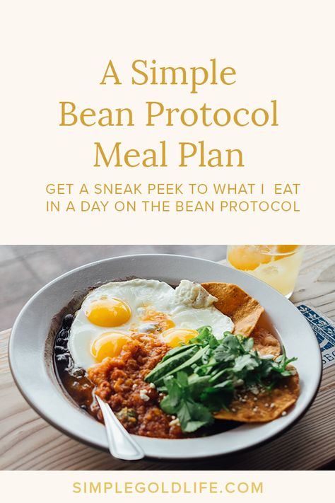 A simple meal plan for a day on the Bean Protocol! It’s easy and adaptable for vegans and meat eaters! Bean And Meat Recipes, Bean Diet Plan 21 Days, The Bean Protocol Recipes, Bean Protocol Meal Plan, The Bean Protocol, Bean Protocol Recipes, Bean Protocol, Lipedema Diet, Bean Diet