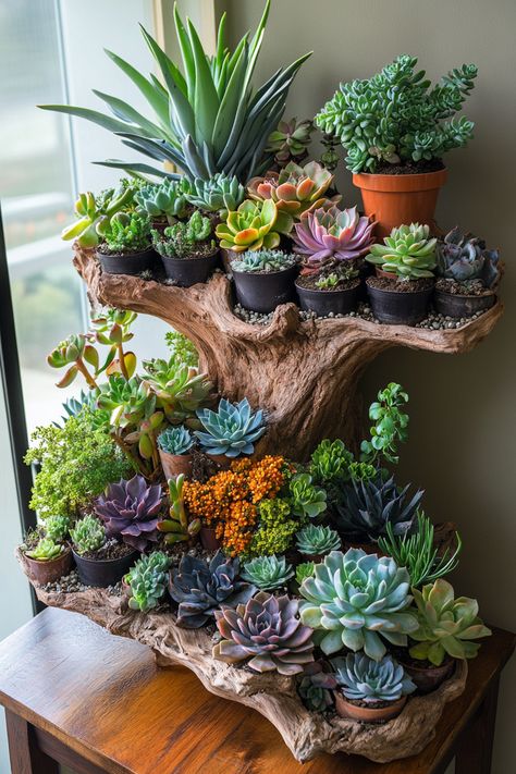 Learn how to create an indoor succulent garden with easy tips for vibrant growth! #SucculentGarden #PlantCare Indoor Succulent Garden, Succulent Bowl, Succulent Outdoor, Succulent Garden Indoor, Succulent Bonsai, Window Plants, Succulent Garden Design, Succulent Garden Diy, Hanging Succulents