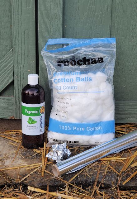 Keep Rodents out of your Chicken Coop without Traps or Poison - Fresh Eggs Daily® Keep Mice Out Of Chicken Coop, Keeping Mice Out Of Chicken Coop, Rodent Proof Chicken Coop, Chicken Coop Odor Control, Lime In Chicken Coop, Keep Rats Out Of Chicken Coop, Chicken Coop Substrate, Inside Small Chicken Coop Ideas, How To Keep Rats Out Of Chicken Coop