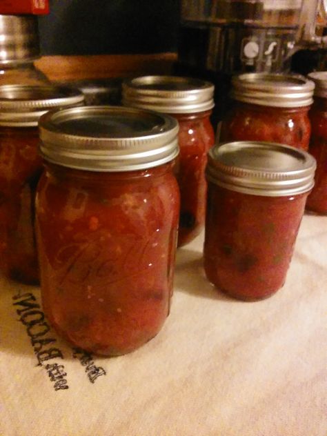 Plum Salsa, Habanero Sauce Recipe, Canning Plums, Habanero Salsa Recipe, Salsa Canning Recipes, Canned Spaghetti Sauce, Habanero Salsa, Canning Salsa, Habanero Sauce