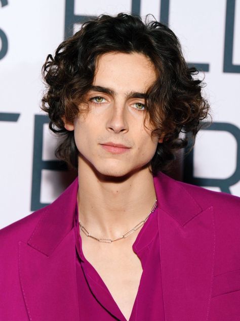 Timothee Chalamet Hairstyle, Timothee Chalamet Pink, Celebrity Crush Men, Timothee Chalamet Hair, Chalamet Timothee, Timmy T, Corte De Cabelo Masculino, Young Actors, The Perfect Guy