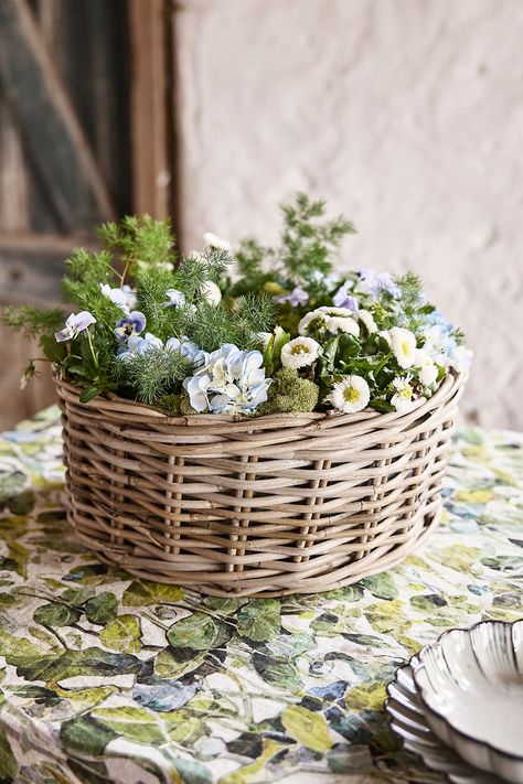 Large planter boxes