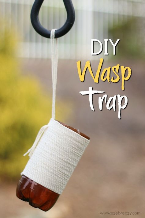 DIY Wasp Trap: All-Natural Solution Wasp Trap Diy, Wasp Sting Remedy, Red Wasp, Get Rid Of Wasps, Wasp Trap, Diy Apple Cider, Wasp Traps, Wasp Stings, Diy Apple