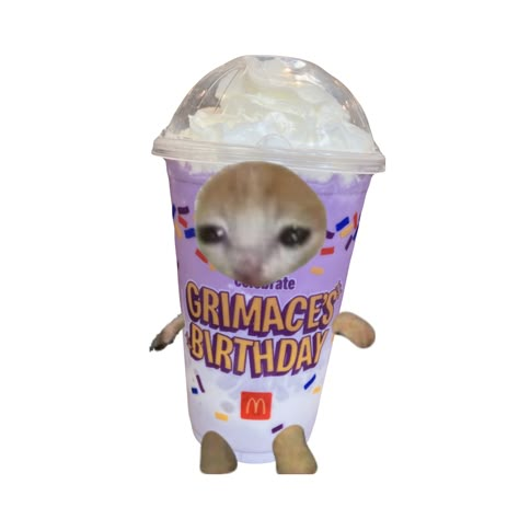 Grimace Shake, Roblox Group, Funny Looking Cats, Cats Funny, Viral Pins, Cat Pics