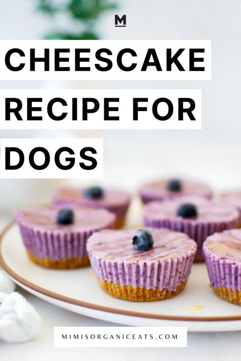 Whip up some Mini Blueberry Cheesecakes for Dogs! These homemade, all-natural treats are perfect for small dogs and senior pups. Made with fresh, organic ingredients, they're healthy, grain-free, and chicken-free. Learn how to make these nutritious, budget-friendly sweet dog treats that picky dogs like golden doodles, poodles, and pitbulls will love. Easy and cheap to make, they’re the best addition to your dog food recipes collection. Treat your furry friend to a delicious dessert! Dog Treats Birthday, Pet Friendly Desserts, Dog Poptart Recipe, Dog Treats For Birthday, Dog Waffle Treats, Dog Friendly Sprinkles, Dog Treat Cupcakes, Dog Baking Recipes, Unique Dog Treat Recipes