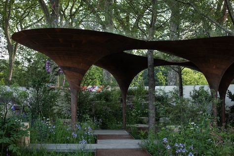 Tom Massey's Water Aid Garden at the 2024 Chelsea Flower Show Tom Massey, Rain Harvesting, Studio Weave, English Gardens, Weathering Steel, Gardening Trends, Perennial Shrubs, Forest Bathing, Garden Animals