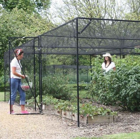 Steel Fruit Cages Enclosed Garden Structures, Garden Cage, Fruit Cages, Garden From Scratch, Enclosed Garden, Fruit Cage, Vegetable Garden Tips, Garden Solutions, Veg Garden